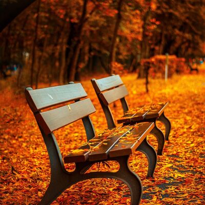 Herbst