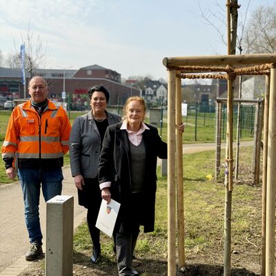 Jahresbaumpflanzung 2026